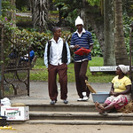 Maputo's botanic garden