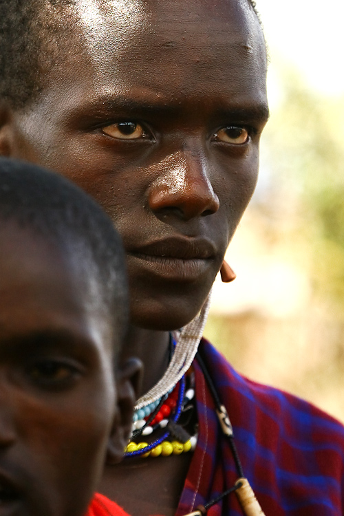Masai Warrior by PauloSantos