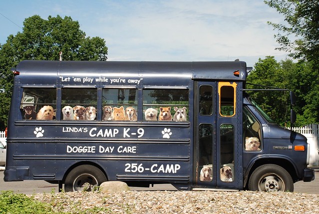 Camp K9 Bus