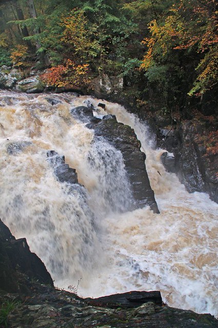 Salmon leaping, Hermitage waterfall, Dunkeld