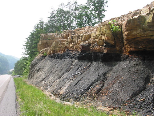 rocks geology coal seam sedimentary dunlap clastic roadcut