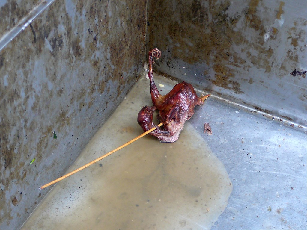 dragged in to the world, killed, cooked and discarded....