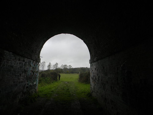 through a tunnel Ashurst short circular