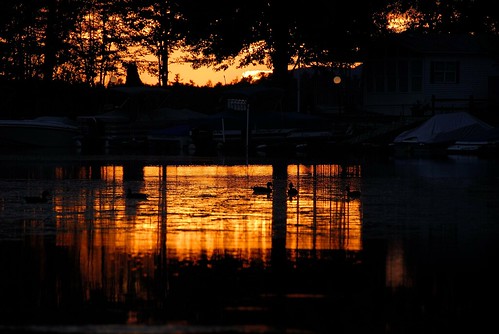 sunset lake water scenery maine ducks sebagolake nikkorafsdxvr18200mmf3556gifed