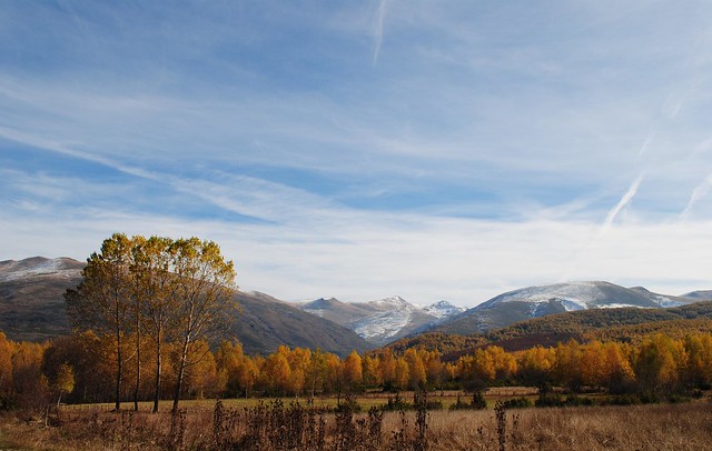 Shar mountain autumn landscape