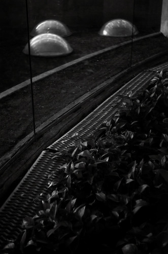 atrium (floor) by turezure