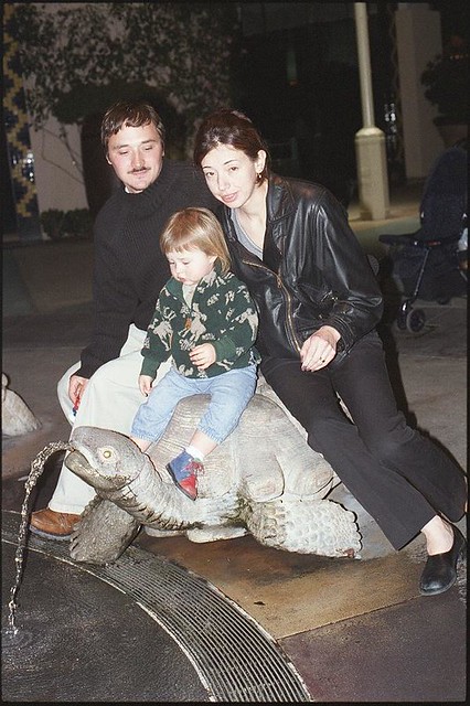 The whole family on a turtle