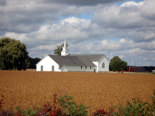 church field rural michigan farm country farming grain crop ag agriculture stclaircounty m136