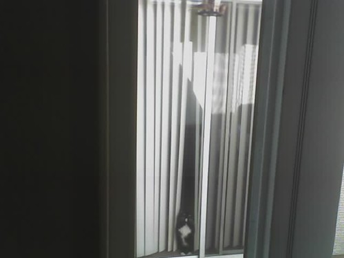 Vincent Birdwatching | by the means