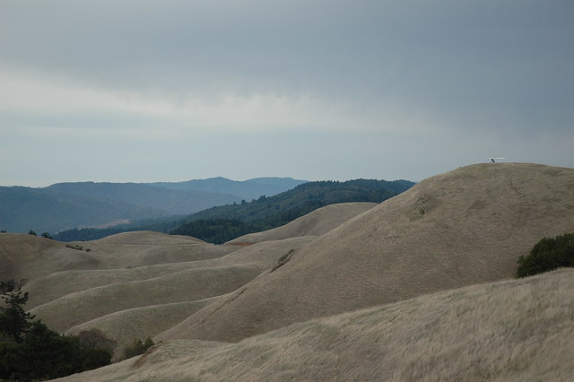 The curvaceous slopes of California