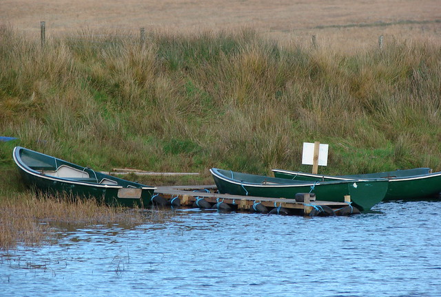 Little Green Boats