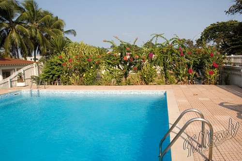africa flickr bougainvillea swimmingpool westafrica gabon libreville