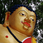 The happy buddha