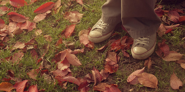 Autumn Shoes