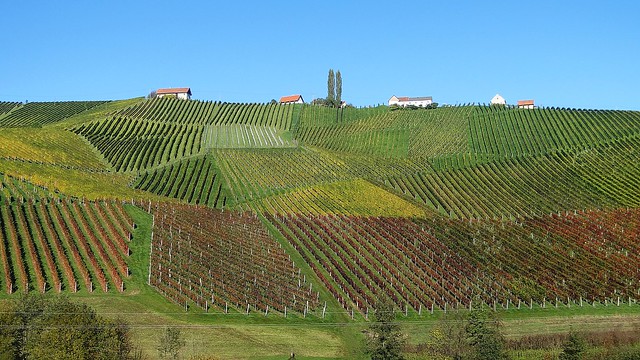 Weinland Südsteiermark