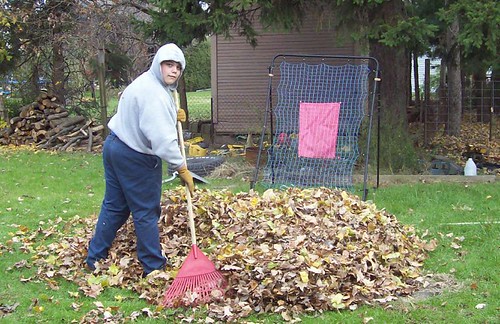 Raking | by mtnmanswife