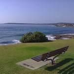 Bench Obsession - Cronulla