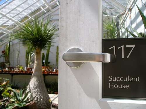 Succulent House