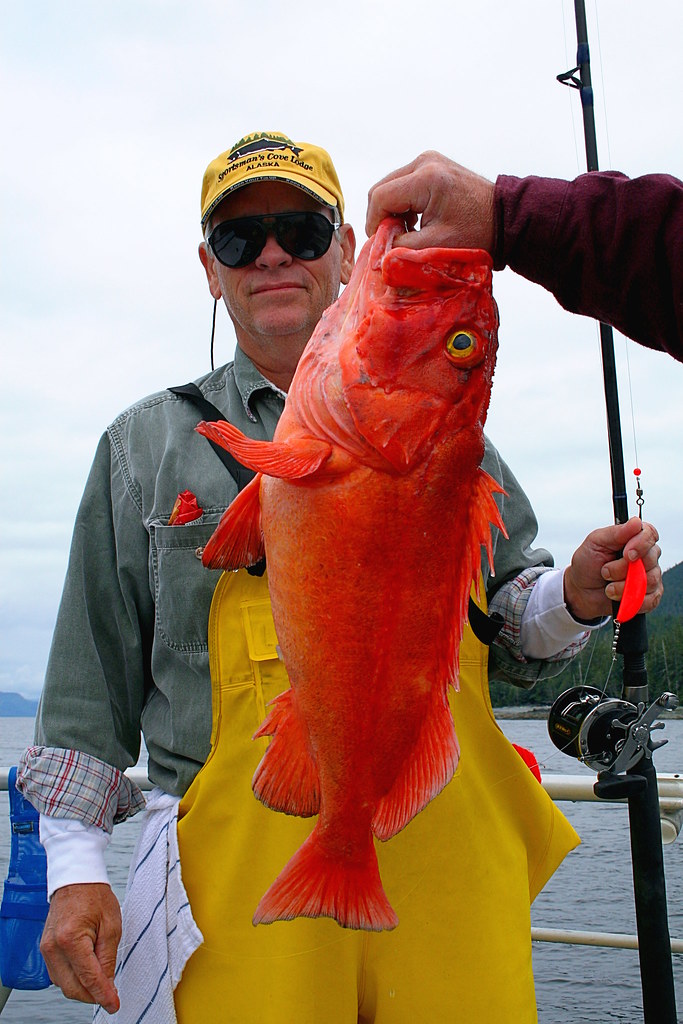 YellowEye Rockfish Caught In Alaska! Bobby Bra