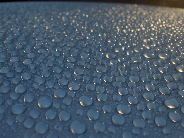 Dauwdruppels op het dak van onze auto .