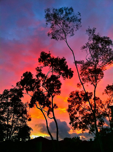 sunset sky rain weather san sandiego diego eucalyptus delmar carmelvalley