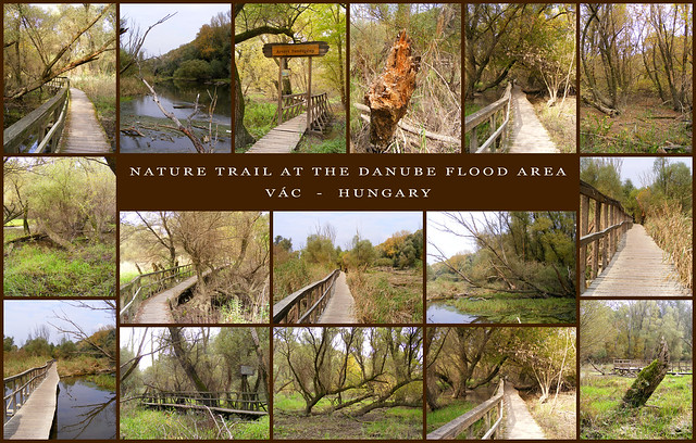 Nature trail at the Danube flood area, Vác / Ártéri Tanösvény, Vác (mosaic)