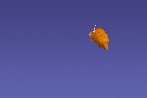 fall(ing) by paul veraguth