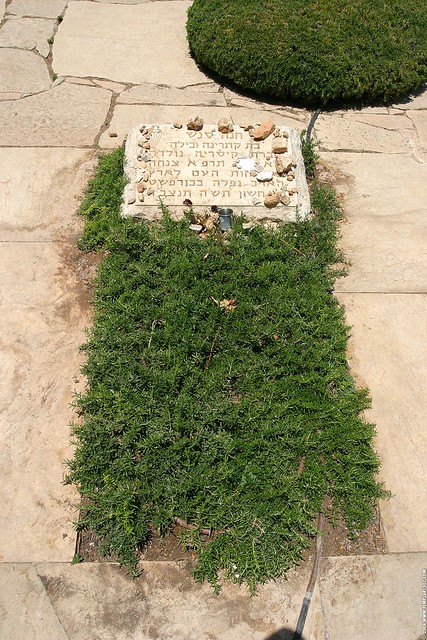IL04 2667 Mount Herzl Cemetery