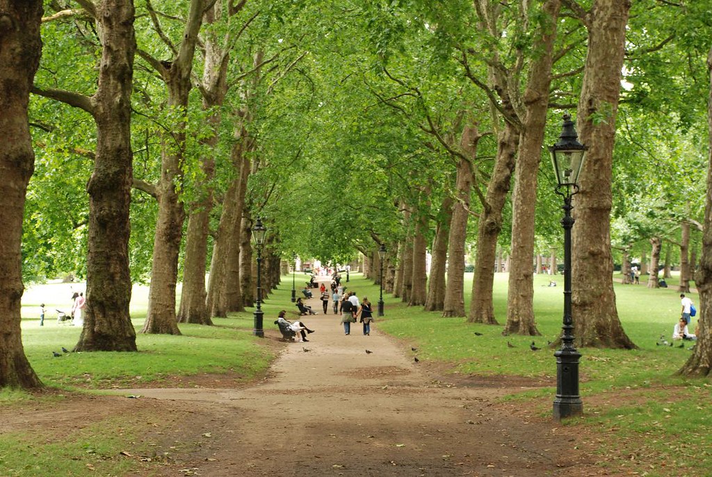 Green park грин парк. Грин парк Великобритания. Парк в Лондоне Грин парк. Зеленый город в Лондоне Королевский парк Грин парк. Грин парк Лондон территория.