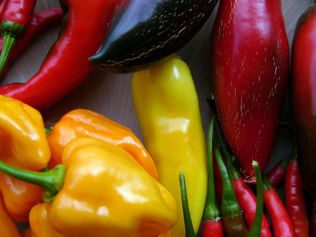 Habanero Pepper Substitutes: 5 Awesome Spicy Alternatives