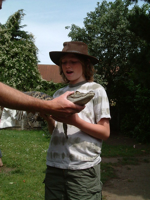 Cei With A Spectacled Caiman