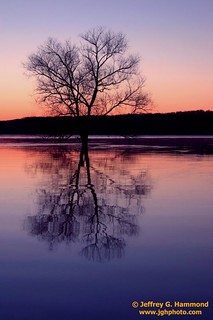 Lake Monroe sunrise - 04