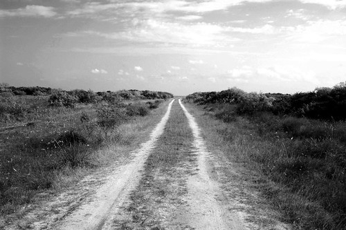 road sky america landscape coast track texas farm horizon rustic dirt palacios
