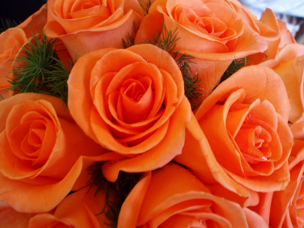 Hoy Lunes, flores para Marmimuralla. | Deborah Martinez Garcia | Flickr