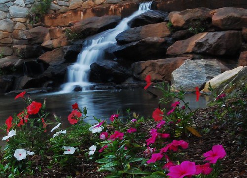 park pink flowers red color fall water oneaday landscape waterfall nikon photoaday pictureaday d40 favoritegarden