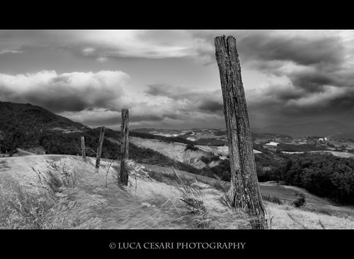 4 Poles by Luca Cesari Photography