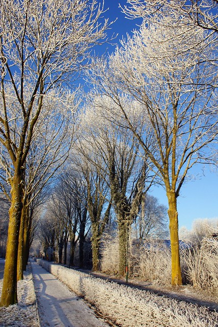 A foothpath and a cyclepath in the winter of 2009.