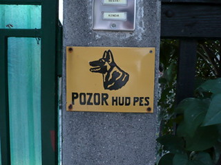 Ljubljana Warning the Dog