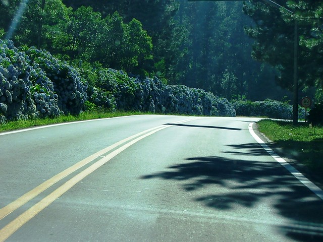Estrada Nova Petrópolis - Gramado