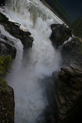 Day 4: Athabasca Falls Vertical