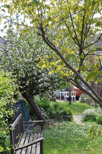 Garden seen from the back