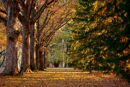 autumn fall sunrise bench newjersey path canopy washingtoncrossingpark rudderow herowinner