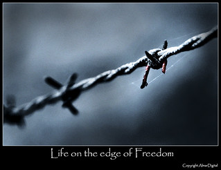 On the Edge of Freedom_D3X0013 | by almardigital