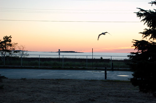 ocean bird skyline sunrise ferrybeach september2007 hrwworcester