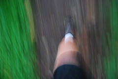 Gotta Run