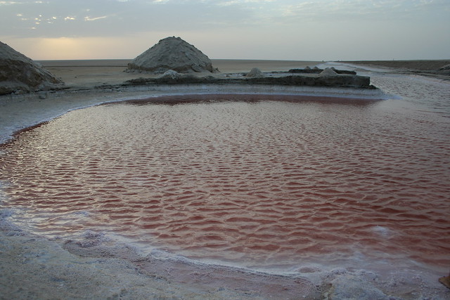 Red Salt Lakes At Dawn, Tunisia