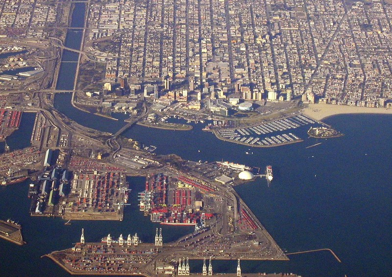 Aquário do Pacífico em Long Beach Atinge Marco na Luta Contra Extinção de Rã Nativa