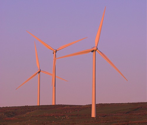 Pink Windmills | by Shaggy_Dancer