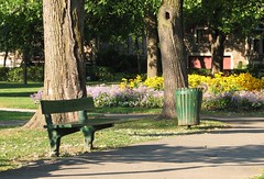 Parc Outremont - Banc et poubelle - Bench and garbage can