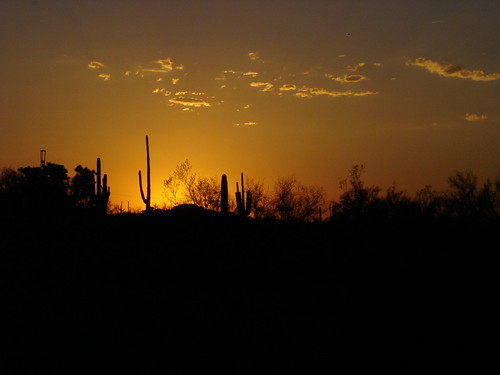 sunset arizona desert